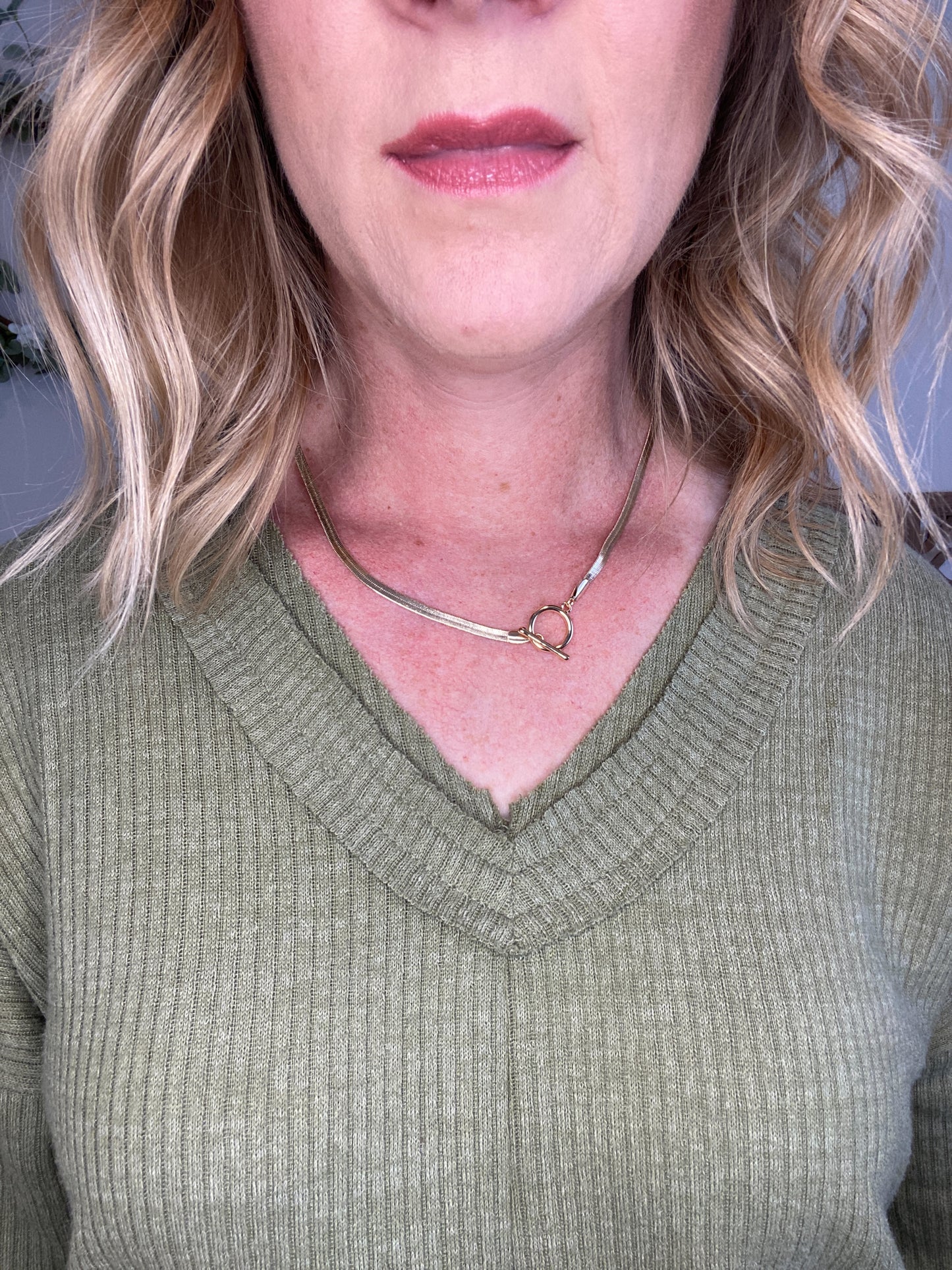 #115 - Snake Chain Toggle Necklace
