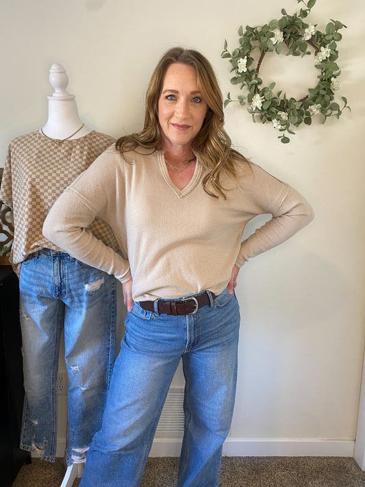Sadie Long Sleeve V-neck in Oatmeal